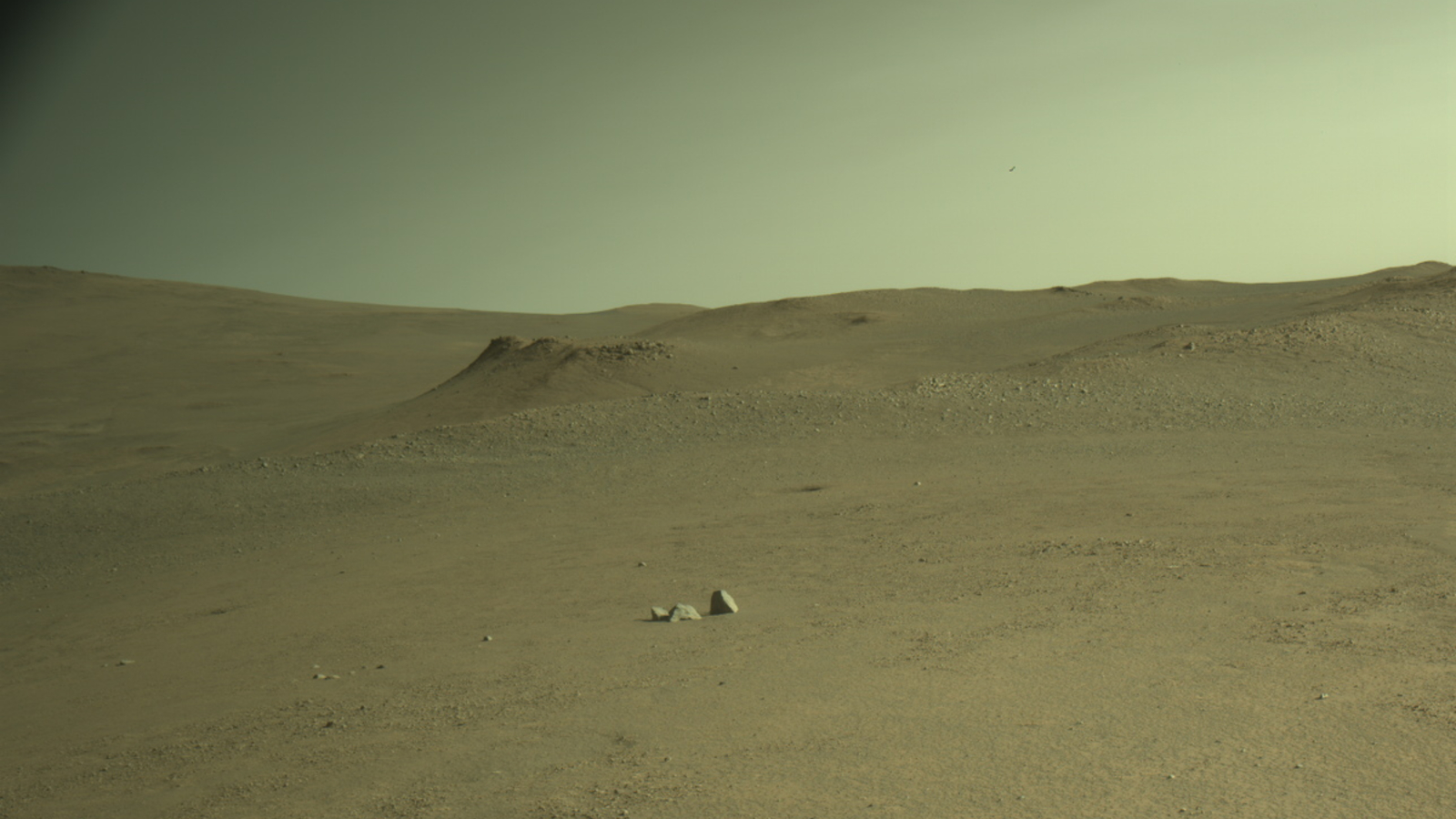 A brownish sand dune is seen in front of an empty sky in a greenish-tinted image