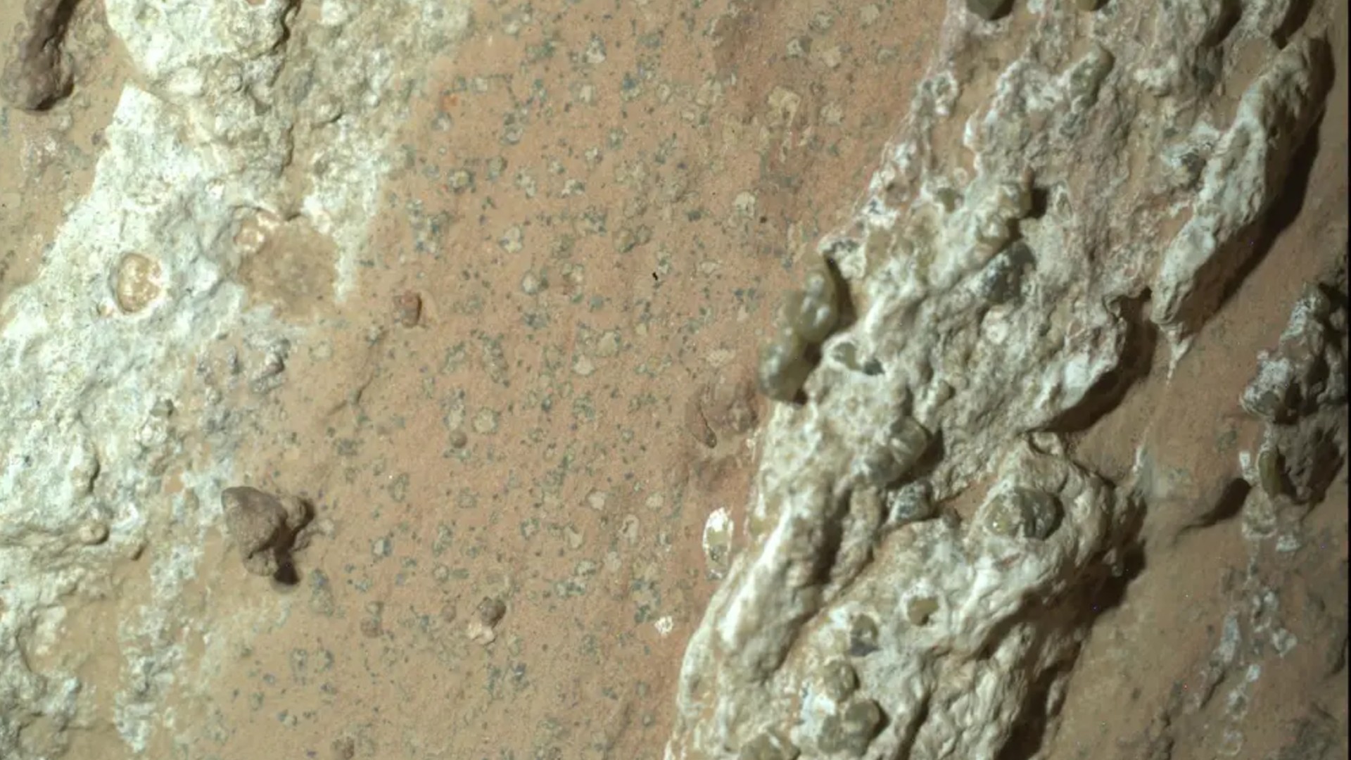 A closeup of "leopard spots" on Mars seen by the Perseverance rover.